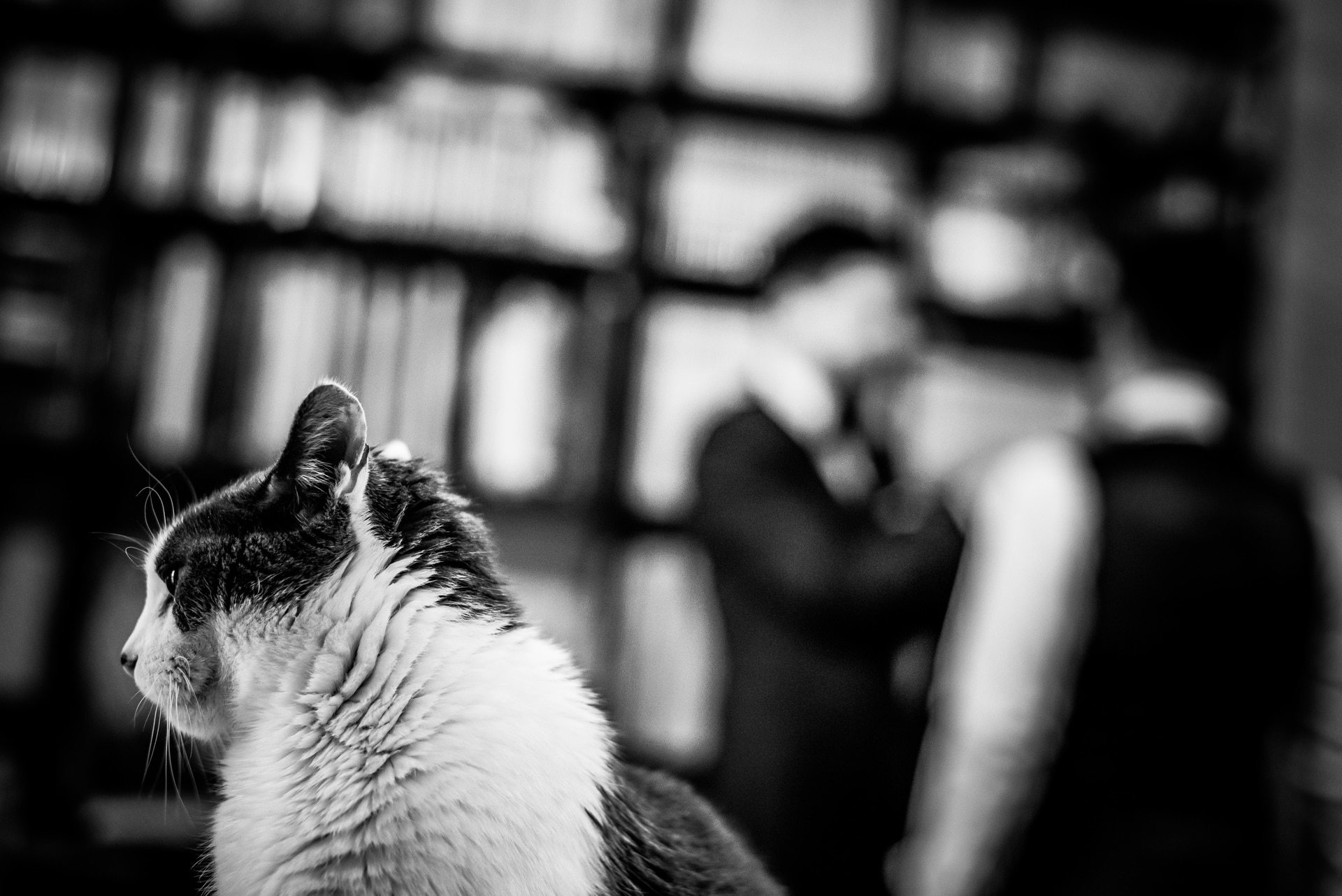 haaku-photographie-mariage-preparatifs