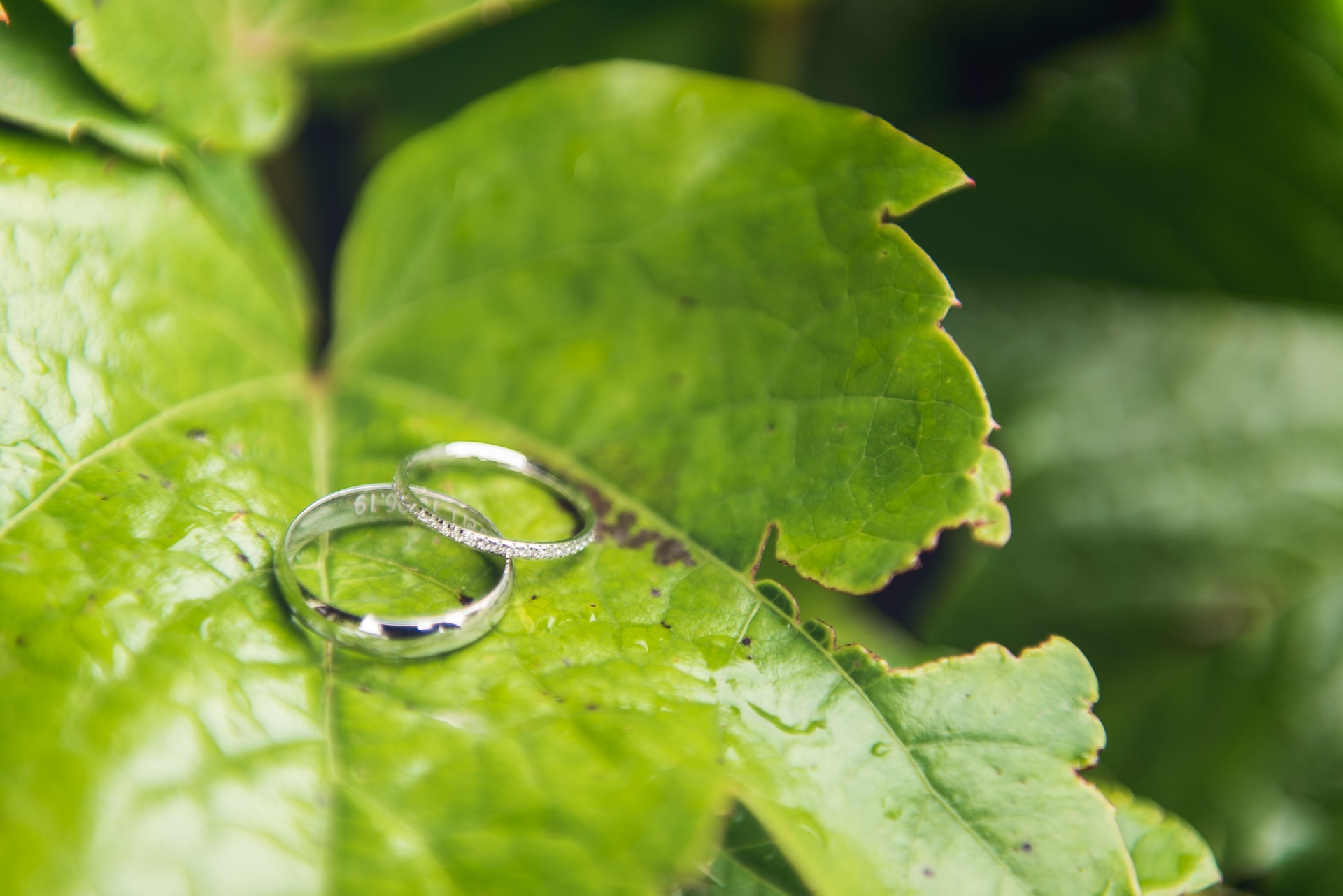 haaku-photographie-mariage-preparatifs