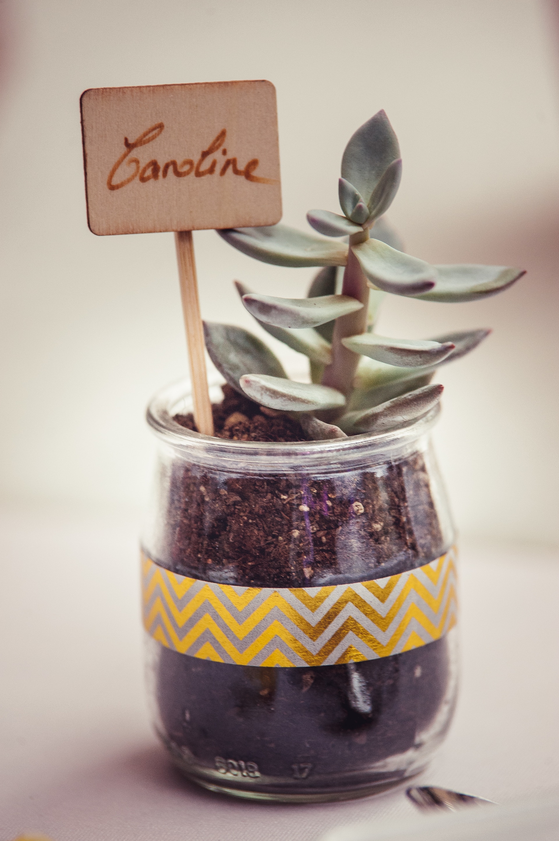 haaku-photographie-mariage-vin-d'honneur-coktail