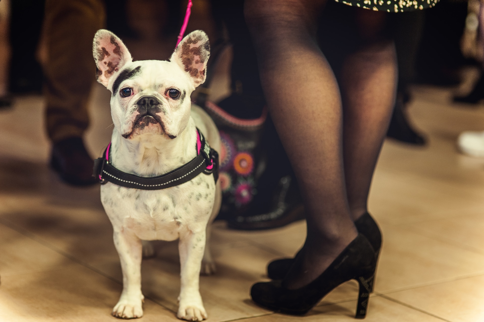 haaku-photographie-mariage-vin-d'honneur-coktail