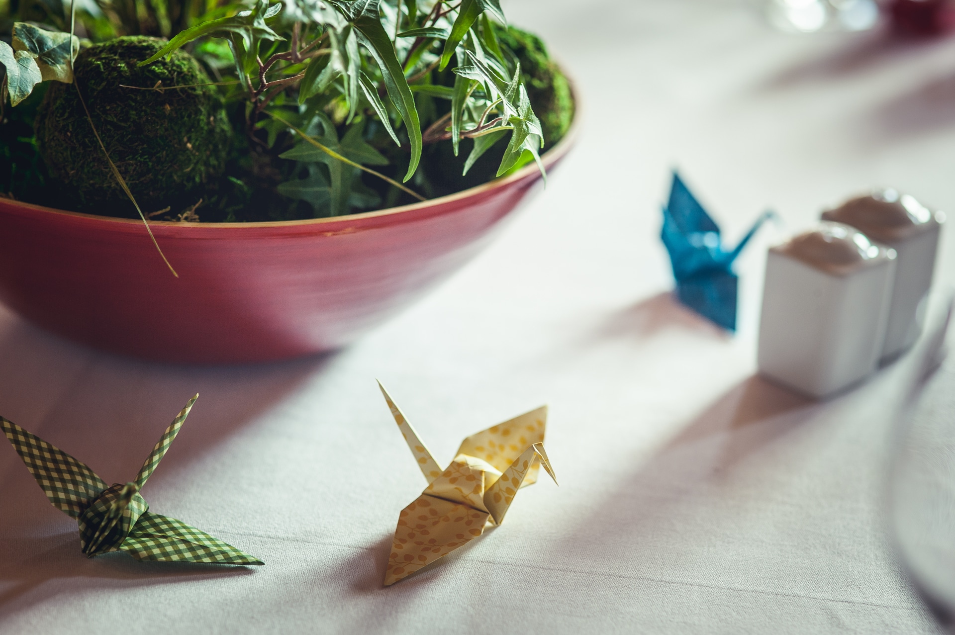 haaku-photographie-mariage-vin-d'honneur-coktail