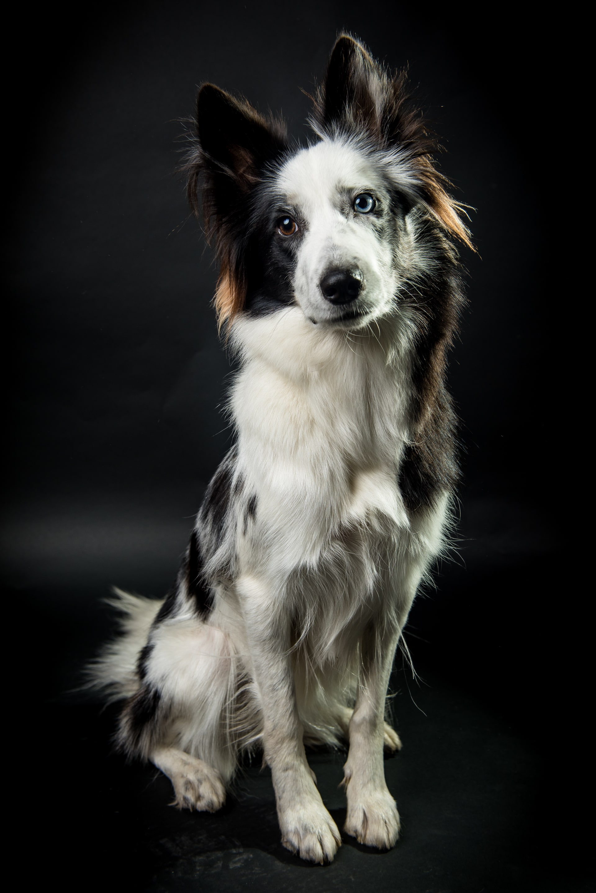 haaku-photographie-portait-adolescents-ado-adultes