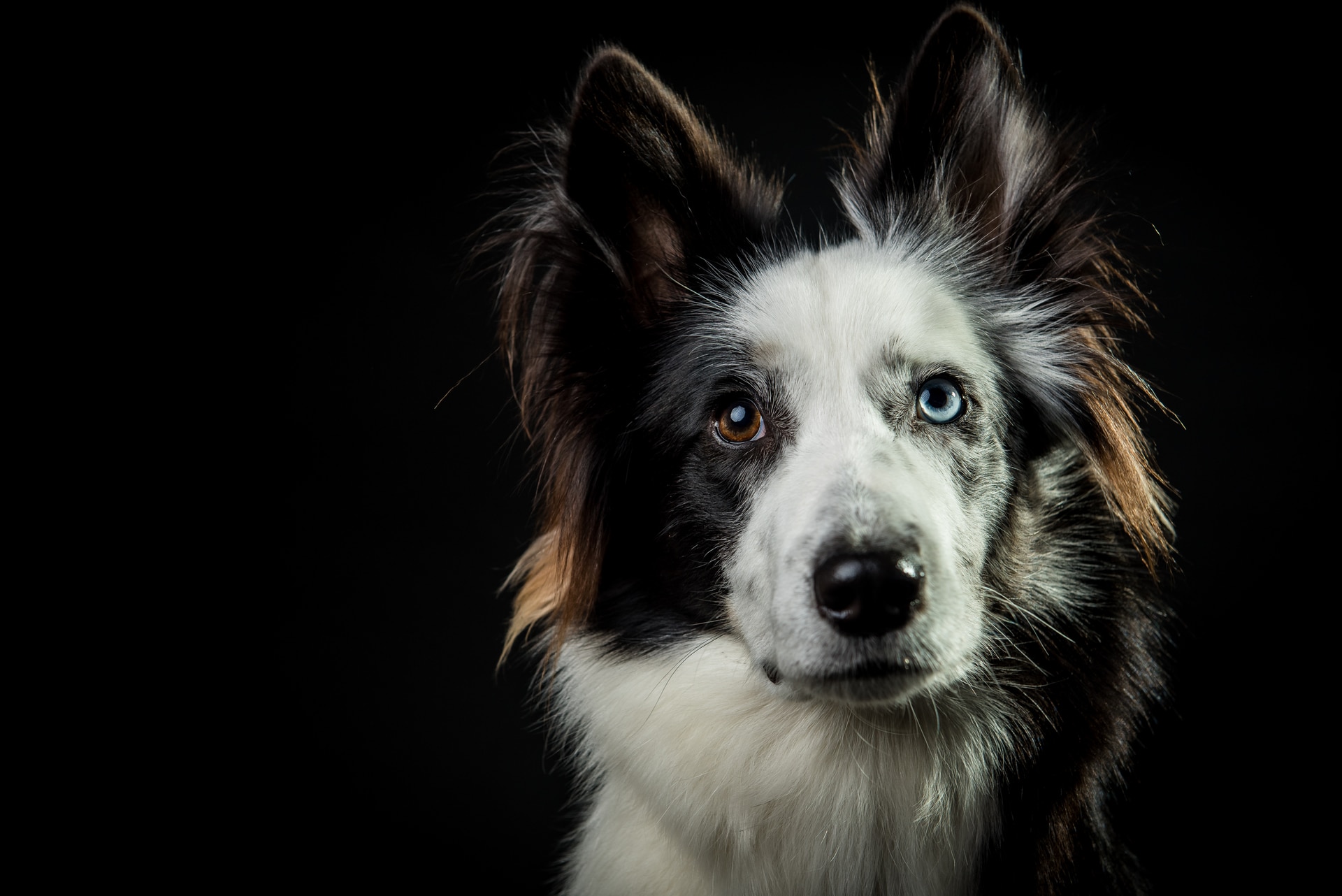 haaku-photographie-portait-adolescents-ado-adultes