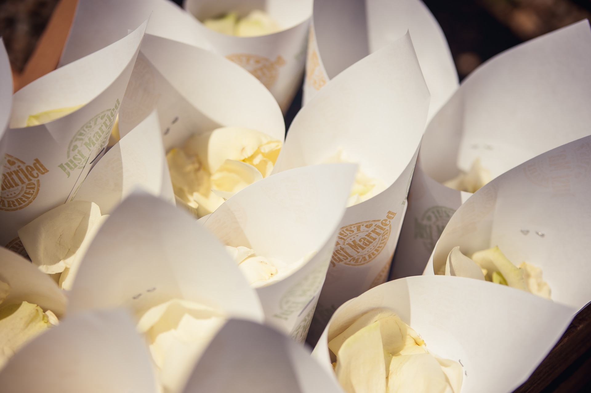 haaku-photographie-mariage-ceremonie-laique